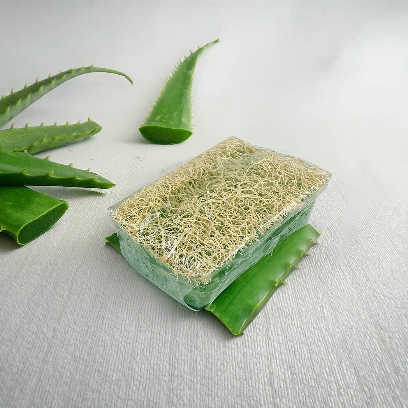 Aloe Vera Sabunu Kabak Lifli